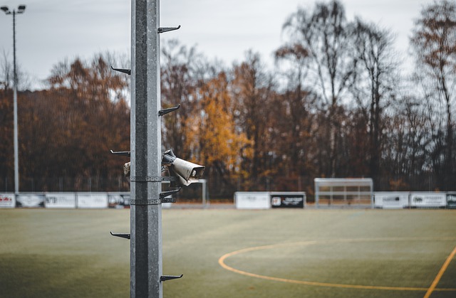 这些都是评 这些都是评