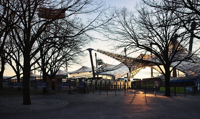 提供了这样 提供了这样