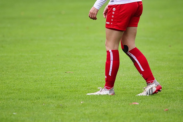 以及双方互 以及双方互