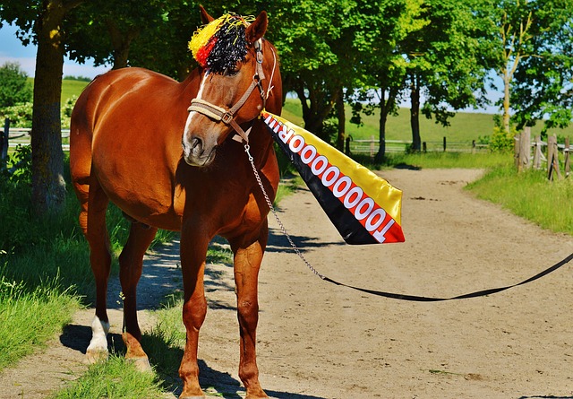 火箭挑战季 火箭挑战季