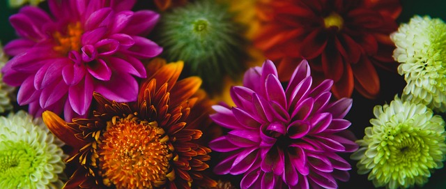 拥有精湛的 拥有精湛的